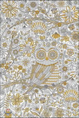 Adult Coloring Poster - Owl Town