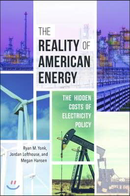 The Reality of American Energy: The Hidden Costs of Electricity Policy