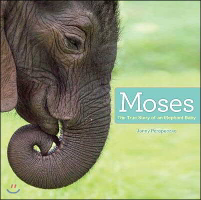 Moses: The True Story of an Elephant Baby