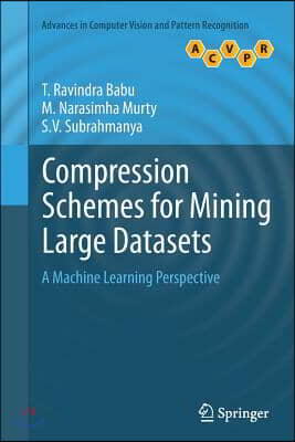 Compression Schemes for Mining Large Datasets: A Machine Learning Perspective