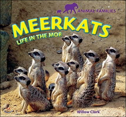 Meerkats: Life in the Mob