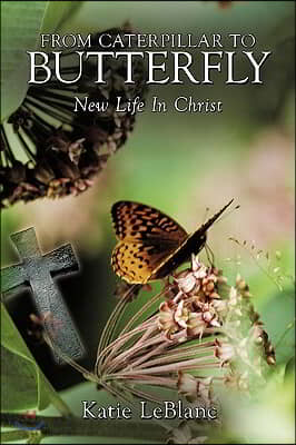 From Caterpillar to Butterfly: New Life in Christ
