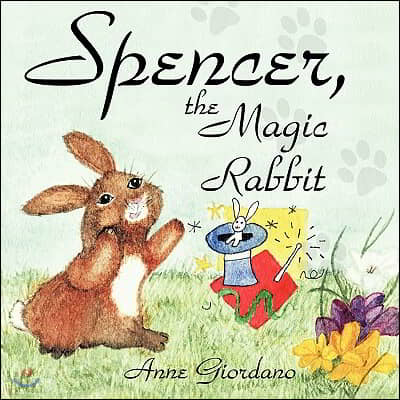 Spencer, The Magic Rabbit