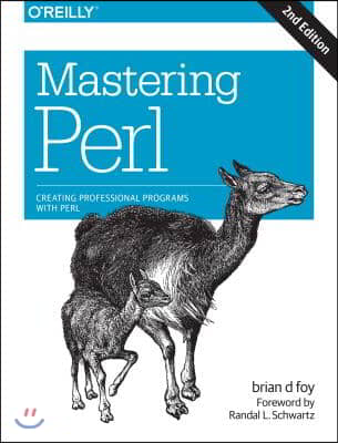 Mastering Perl: Creating Professional Programs with Perl