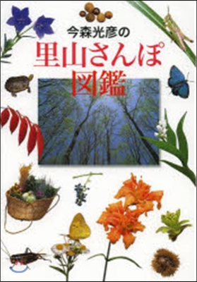 今森光彦の里山さんぽ圖鑑