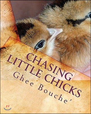 Chasing Little Chicks