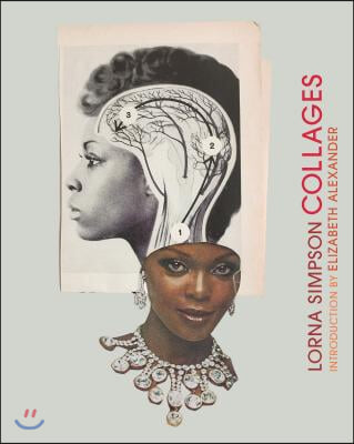 Lorna Simpson Collages: (Art Books, Contemporary Art Books, Collage Art Books)