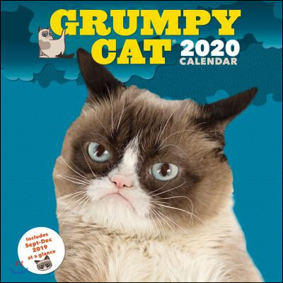 Grumpy Cat 2020 Calendar