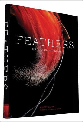 Feathers: Displays of Brilliant Plumage