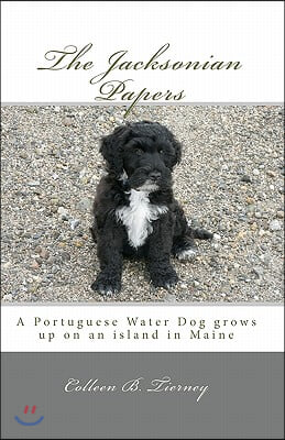 The Jacksonian Papers: A Portuguese Water Dog grows up on an island in Maine