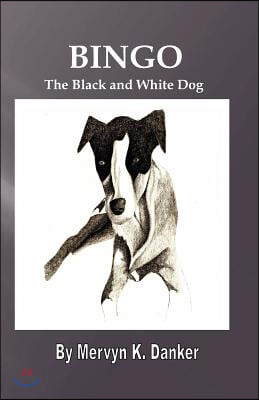 Bingo: The Black and White Dog