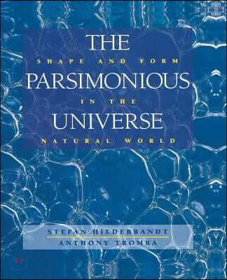 The Parsimonious Universe: Shape and Form in the Natural World