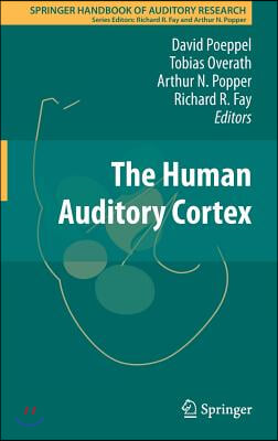 The Human Auditory Cortex