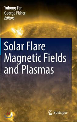 Solar Flare Magnetic Fields and Plasmas