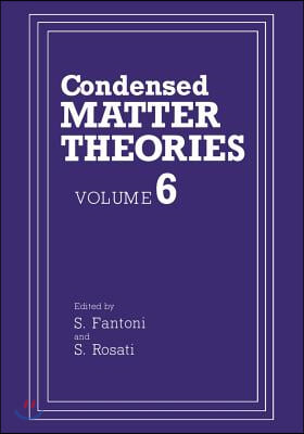 Condensed Matter Theories: Volume 6