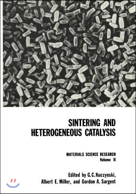 Sintering and Heterogeneous Catalysis