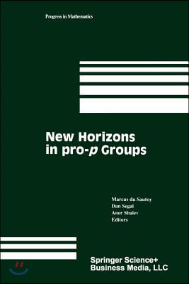 New Horizons in Pro-P Groups