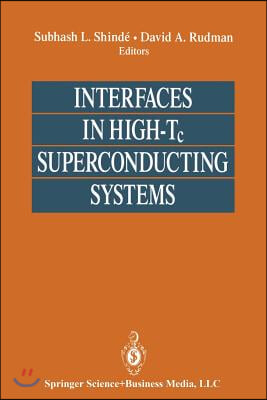 Interfaces in High-Tc Superconducting Systems