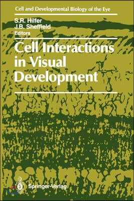 Cell Interactions in Visual Development