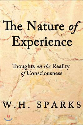 The Nature of Experience: Thoughts on the Reality of Consciousness