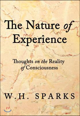 The Nature of Experience: Thoughts on the Reality of Consciousness