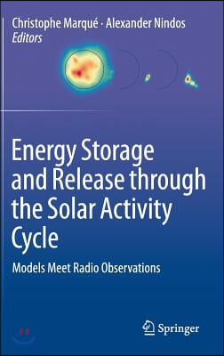 Energy Storage and Release Through the Solar Activity Cycle: Models Meet Radio Observations