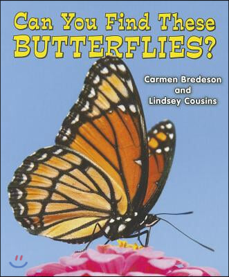 Can You Find These Butterflies?