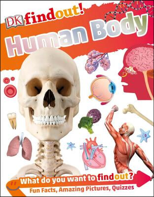 Dkfindout! Human Body