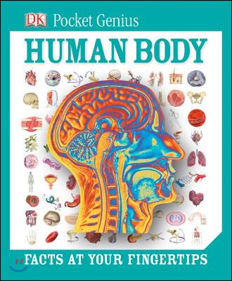 Human Body