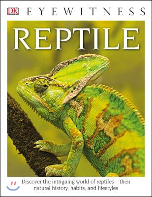 DK Eyewitness Books: Reptile