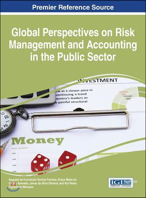 Global Perspectives on Risk Management and Accounting in the Public Sector