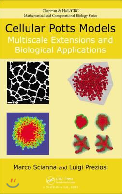 Cellular Potts Models