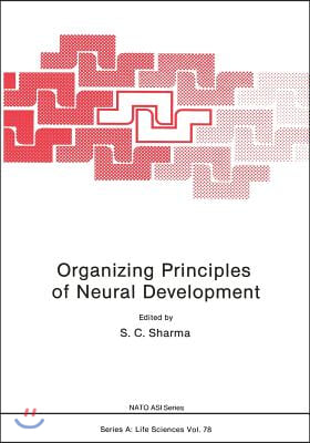 Organizing Principles of Neural Development