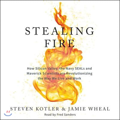 Stealing Fire Lib/E: How Silicon Valley, the Navy Seals, and Maverick Scientists Are Revolutionizing the Way We Live and Work