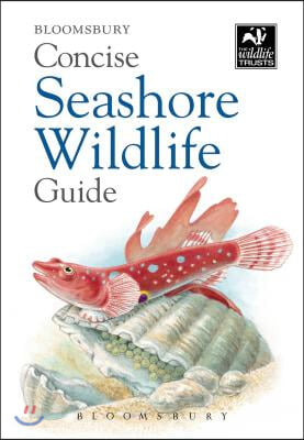 Bloomsbury Concise Seashore Wildlife Guide