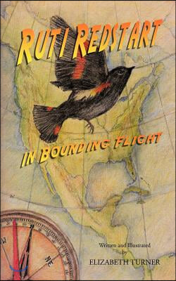 Ruti Redstart: In Bounding Flight