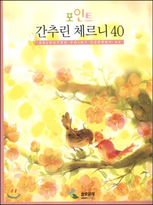 포인트 간추린 체르니 40