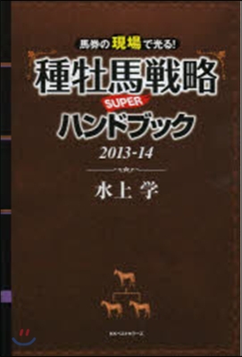 ’13－14 種牡馬戰略SUPERハンド