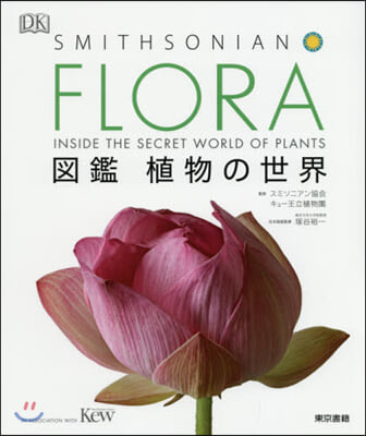 FLORA 圖鑑植物の世界