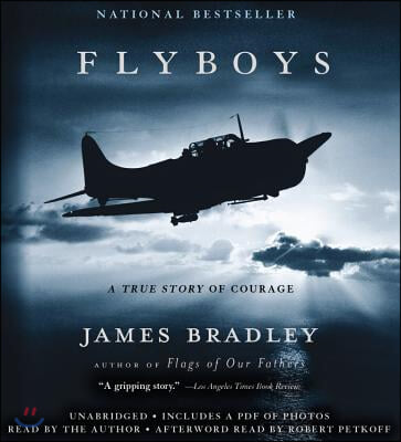 Flyboys Lib/E: A True Story of Courage