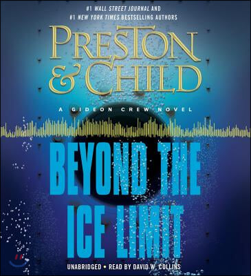 Beyond the Ice Limit