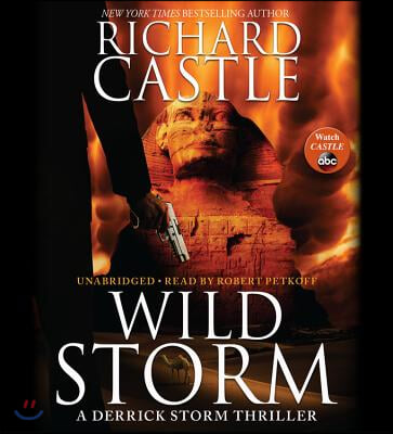 Wild Storm Lib/E: A Derrick Storm Thriller