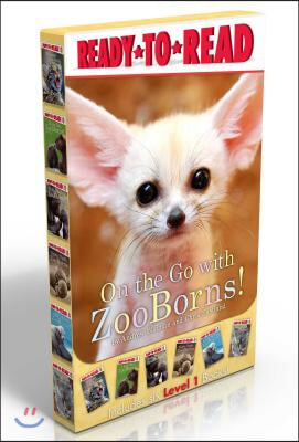 On the Go With Zooborns!