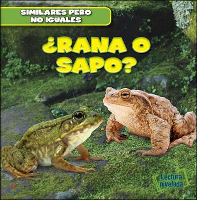 &#191;Rana O Sapo? (Frog or Toad?)