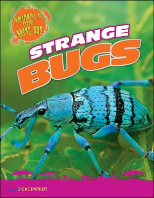 Strange Bugs