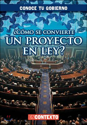 &#191;Como Se Convierte Un Proyecto En Ley? (How Does a Bill Become a Law?)