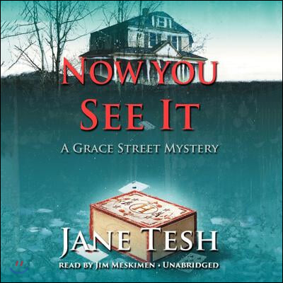 Now You See It: A Grace Street Mystery