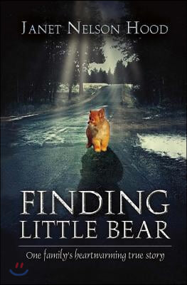 Finding Little Bear: Volume 1