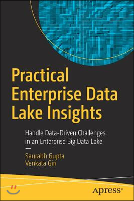 Practical Enterprise Data Lake Insights: Handle Data-Driven Challenges in an Enterprise Big Data Lake