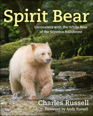 Spirit Bear: Encounters with the White Bear of the Western Rainforest